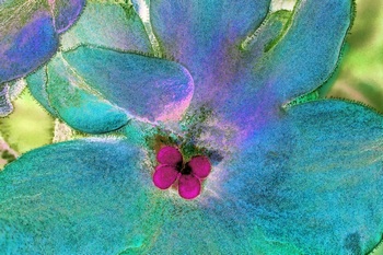 F 012E